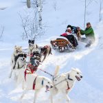 Krabloonik Dog Sled Tour - Best way to explore the pristine backcountry